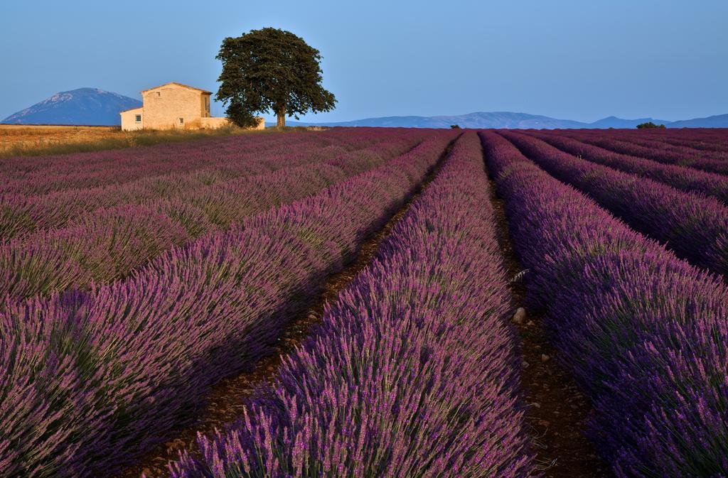 La Maison Des Collines Hotel Allemagne-en-Provence Exterior foto